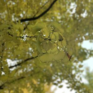 曰本小美女牲交爱幹Av电影网
